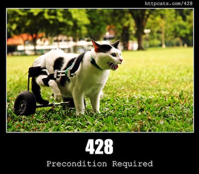 428 Precondition Required & Cats