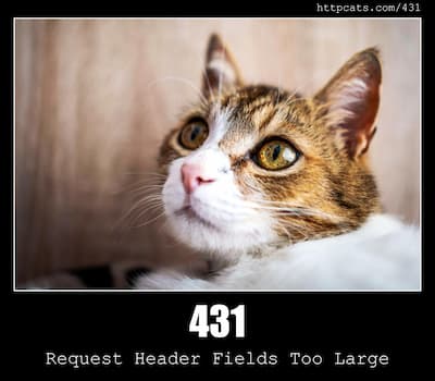 431 Request Header Fields Too Large & Cats