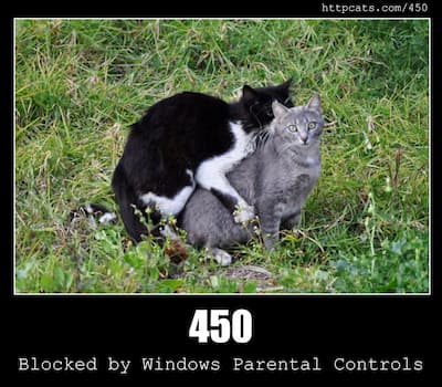 450 Blocked by Windows Parental Controls & Cats