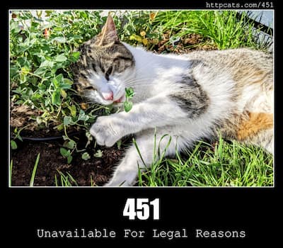 451 Unavailable For Legal Reasons & Cats