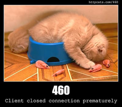460 Client closed connection prematurely & Cats