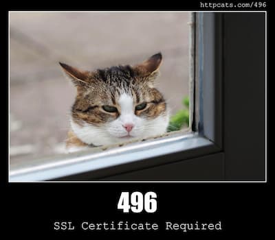 496 SSL Certificate Required & Cats
