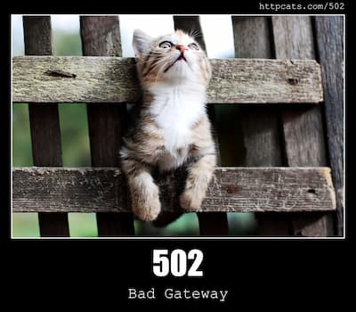 502 Bad Gateway & Cats