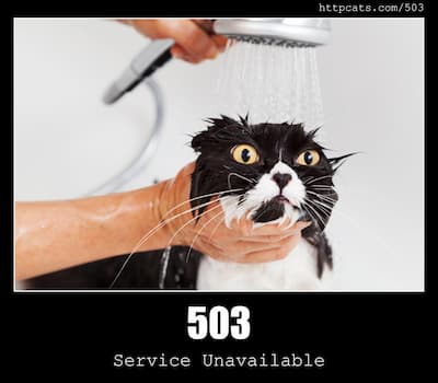 503 Service Unavailable & Cats