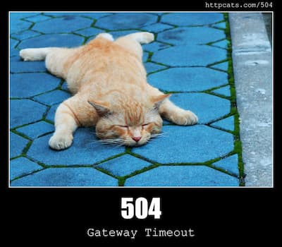 504 Gateway Timeout & Cats