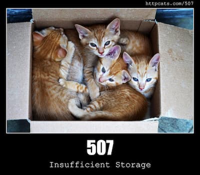 507 Insufficient Storage & Cats