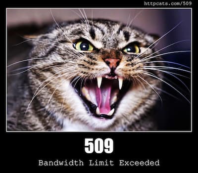 509 Bandwidth Limit Exceeded & Cats