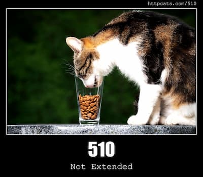 510 Not Extended & Cats