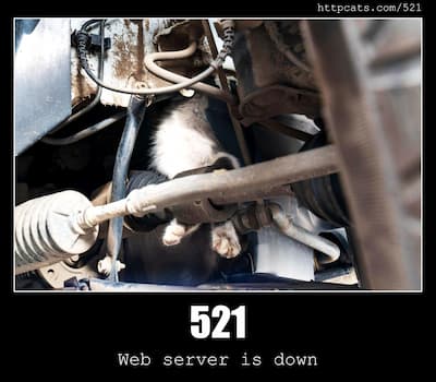 521 Web server is down
