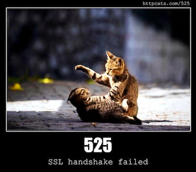 525 SSL handshake failed