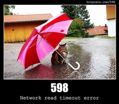 598 Network read timeout error