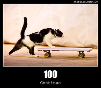 100 Continue & Cats