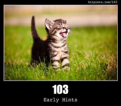 103 Early Hints & Cats