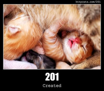 201 Created & Cats