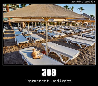 308 Permanent Redirect & Cats