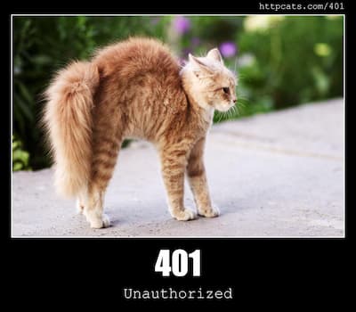 401 Unauthorized & Cats