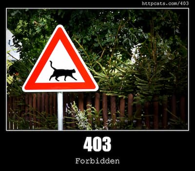 403 Forbidden & Cats