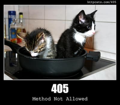 405 Method Not Allowed & Cats