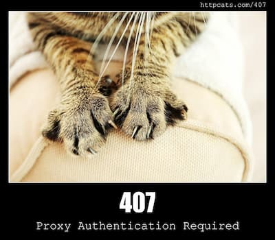 407 Proxy Authentication Required & Cats
