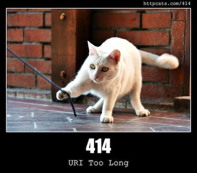 414 URI Too Long & Cats