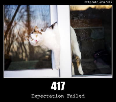 417 Expectation Failed & Cats