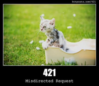 421 Misdirected Request & Cats