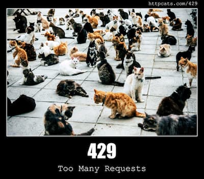 429 Too Many Requests & Cats
