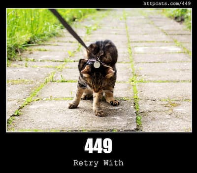 449 Retry With & Cats