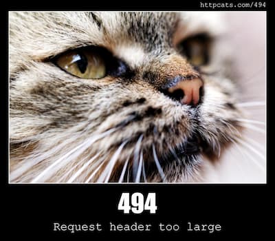 494 Request header too large & Cats