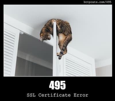 495 SSL Certificate Error & Cats