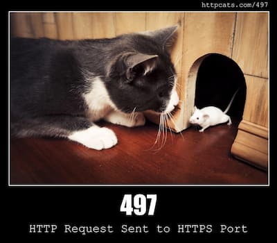 497 HTTP Request Sent to HTTPS Port & Cats
