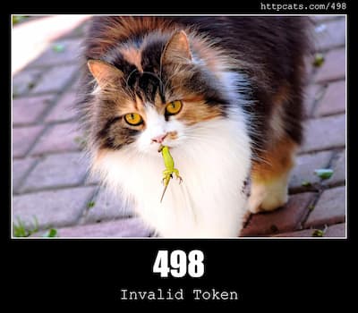 498 Invalid Token & Cats