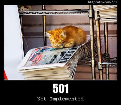 501 Not Implemented & Cats