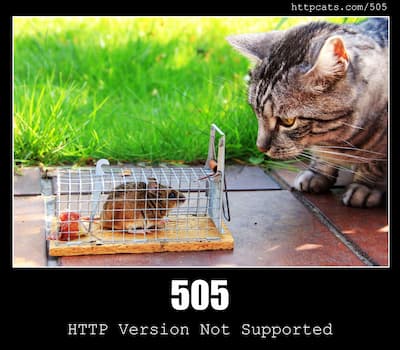 505 HTTP Version Not Supported & Cats