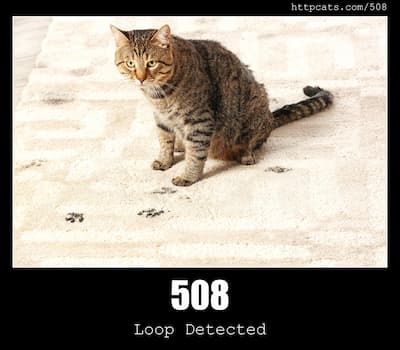 508 Loop Detected & Cats