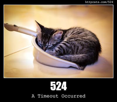 524 A Timeout Occurred & Cats
