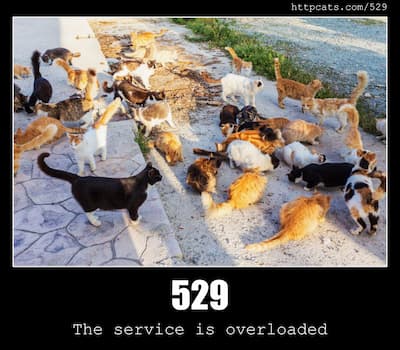 529 The service is overloaded & Cats