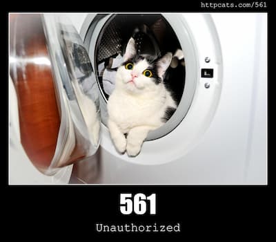561 Unauthorized & Cats