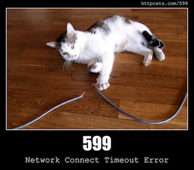 599 Network Connect Timeout Error & Cats
